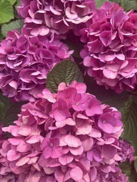 三溪園に投稿された画像（2023/8/24）