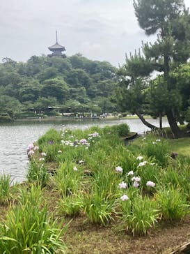 三溪園に投稿された画像（2023/8/24）