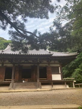 三溪園に投稿された画像（2023/8/24）