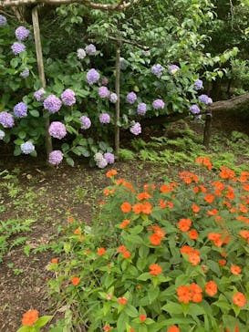 三溪園に投稿された画像（2023/8/24）