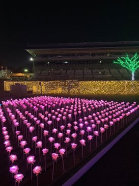 東京メガイルミに投稿された画像（2023/8/24）