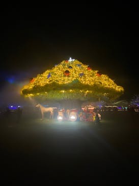 東京メガイルミに投稿された画像（2023/8/24）