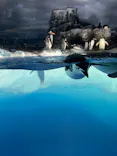 名古屋港水族館に投稿された画像（2023/8/24）