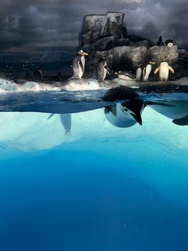 名古屋港水族館に投稿された画像（2023/8/24）