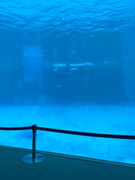 名古屋港水族館に投稿された画像（2023/8/24）