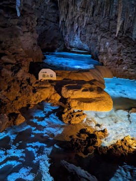 おきなわワールドに投稿された画像（2023/8/24）