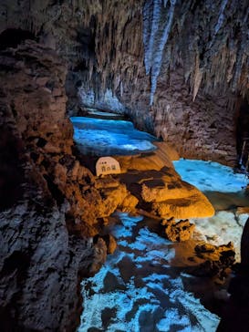 おきなわワールドに投稿された画像（2023/8/24）