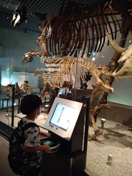 国立科学博物館に投稿された画像（2023/8/24）