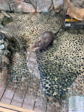 伊豆・三津シーパラダイスに投稿された画像（2023/8/24）