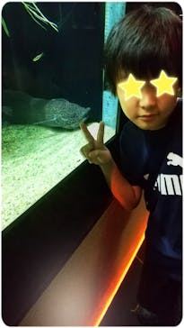 カワスイ 川崎⽔族館に投稿された画像（2023/8/24）