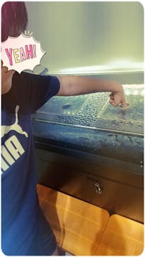 カワスイ 川崎⽔族館に投稿された画像（2023/8/24）