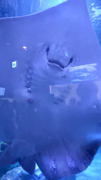 マクセル アクアパーク品川に投稿された画像（2023/8/24）