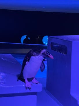 AOAO SAPPOROに投稿された画像（2023/8/24）