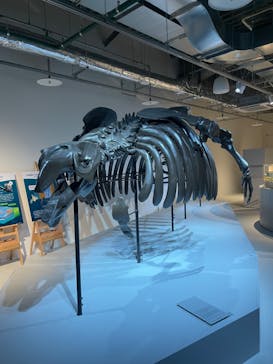 AOAO SAPPOROに投稿された画像（2023/8/24）