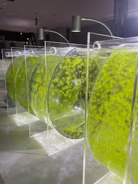 AOAO SAPPOROに投稿された画像（2023/8/24）