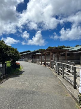 アロハガーデンたてやまに投稿された画像（2023/8/24）