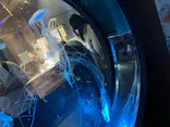 名古屋港水族館に投稿された画像（2023/8/24）