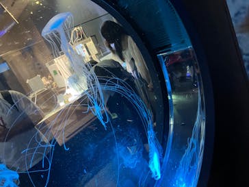 名古屋港水族館に投稿された画像（2023/8/24）