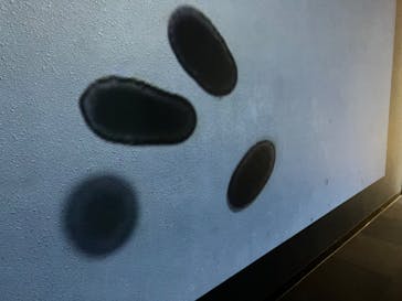 名古屋港水族館に投稿された画像（2023/8/24）