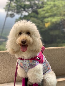 マウントジーンズ那須に投稿された画像（2023/8/24）