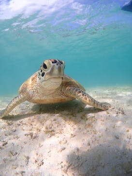 CHAMP TOUR　宮古島に投稿された画像（2023/8/24）