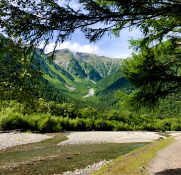 白樺自然学校に投稿された画像（2023/8/24）