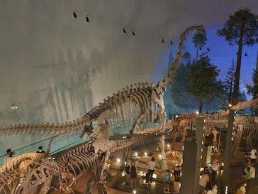 福井県立恐竜博物館に投稿された画像（2023/8/24）