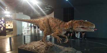 福井県立恐竜博物館に投稿された画像（2023/8/24）