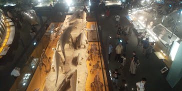 福井県立恐竜博物館に投稿された画像（2023/8/24）