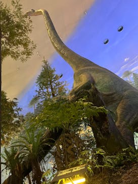 福井県立恐竜博物館に投稿された画像（2023/8/24）