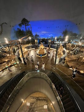 福井県立恐竜博物館に投稿された画像（2023/8/24）