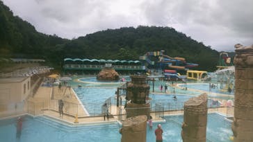 日本モンキーパークに投稿された画像（2023/8/24）