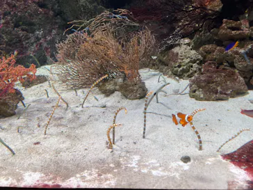 マクセル アクアパーク品川に投稿された画像（2023/8/24）