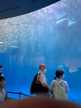 名古屋港水族館に投稿された画像（2023/8/24）