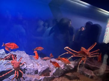 名古屋港水族館に投稿された画像（2023/8/24）