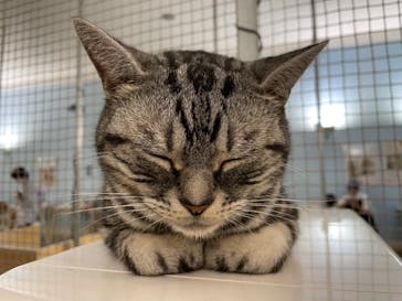 Moff アニマル カフェ イーアス 高尾店に投稿された画像（2023/8/24）