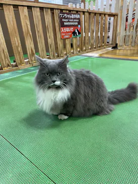 神戸どうぶつ王国に投稿された画像（2023/8/24）