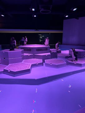 AOAO SAPPOROに投稿された画像（2023/8/24）