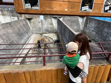 奥飛騨クマ牧場に投稿された画像（2023/8/24）