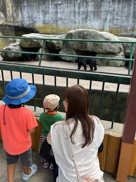 奥飛騨クマ牧場に投稿された画像（2023/8/24）