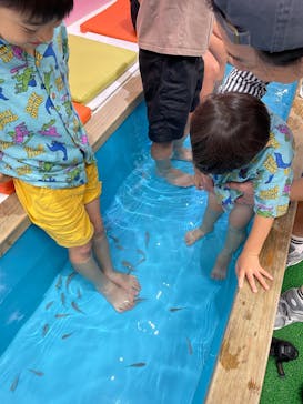 ゼロ距離水族館 伊勢シーパラダイスに投稿された画像（2023/8/24）