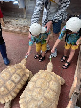 ゼロ距離水族館 伊勢シーパラダイスに投稿された画像（2023/8/24）