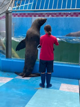 ゼロ距離水族館 伊勢シーパラダイスに投稿された画像（2023/8/24）