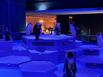 AOAO SAPPOROに投稿された画像（2023/8/24）