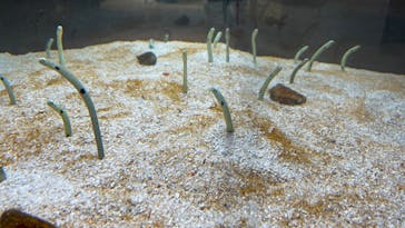 AOAO SAPPOROに投稿された画像（2023/8/24）