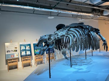 AOAO SAPPOROに投稿された画像（2023/8/24）