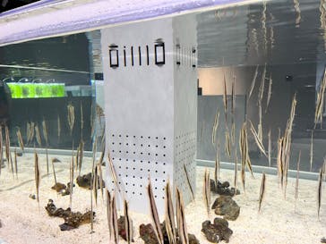 AOAO SAPPOROに投稿された画像（2023/8/24）