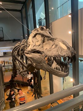 福井県立恐竜博物館に投稿された画像（2023/8/24）