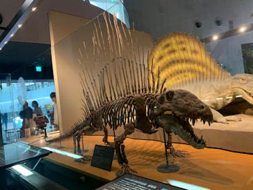 福井県立恐竜博物館に投稿された画像（2023/8/24）