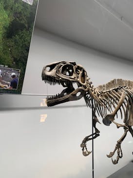 福井県立恐竜博物館に投稿された画像（2023/8/24）